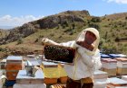 Bayburt Balı Nasıl Üretiliyor